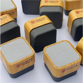 best high top quality custom branded customized office promotional retractable premium bamboo bluetooth speaker souvenir item design and printing in Lagos, Abuja, Nigeria, Africa.