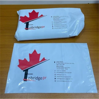 best high top quality custom branded customized retractable fashionable luxury premium corporate company courier mailer nylon bag design and printing in Lagos, Abuja, Nigeria, Africa.