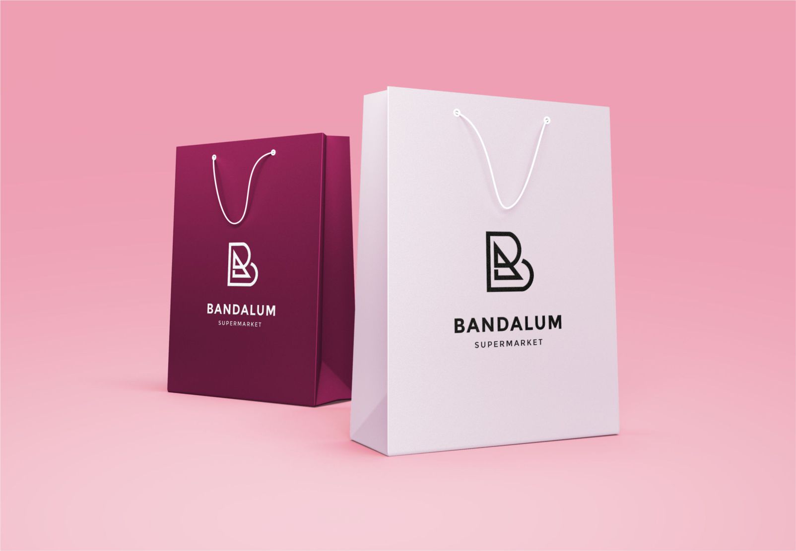 Customized Branded Gift Shopping Carrier Bags Design and Printing in
